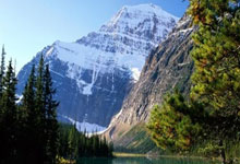 字母哥和庫裏同屬一家經紀公司是否意味著潛在合作.